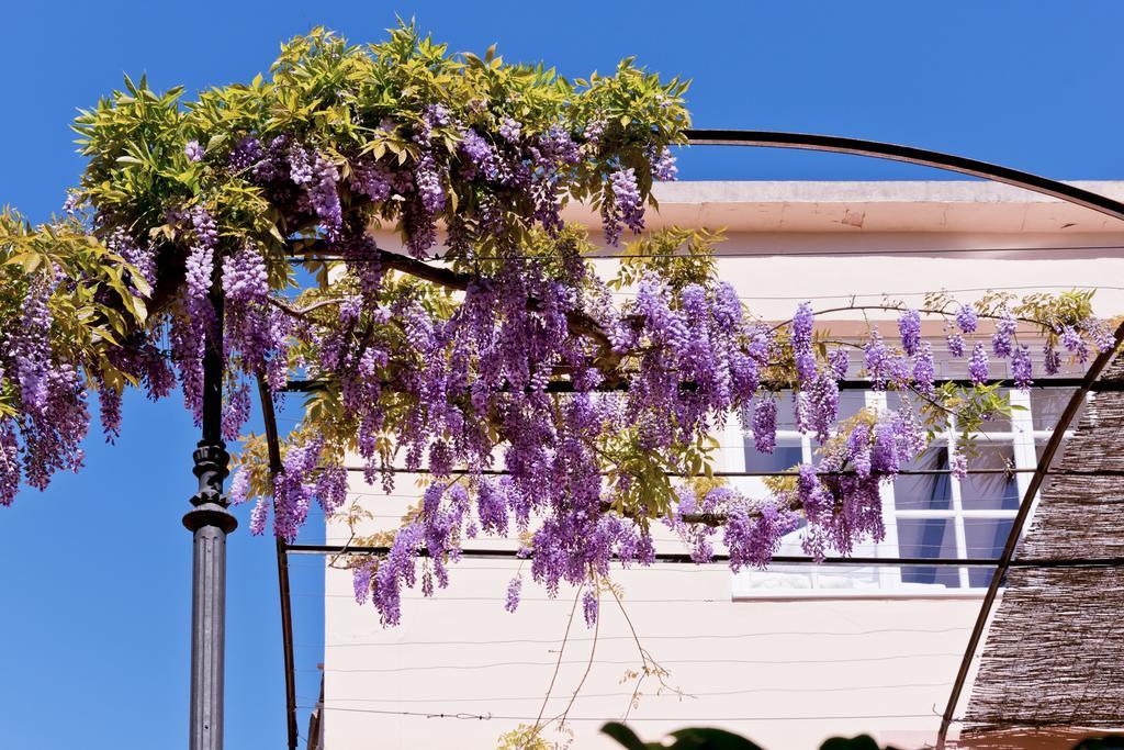 Suite con terraza